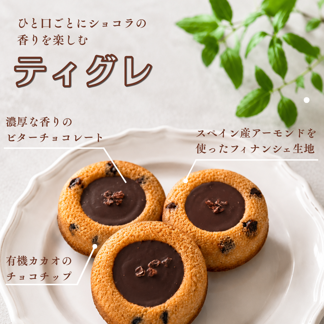 ティグレ５個セット